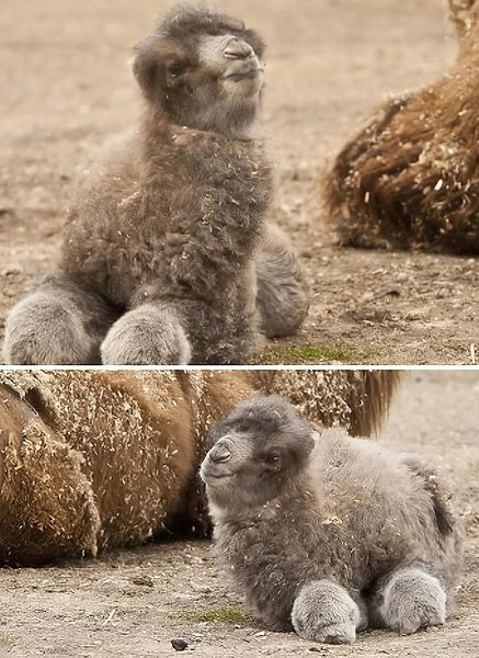 ������� ��������� �������� ����� ������������� � ��������. ����� ������������, ������� ������ 13�14 ... - 3