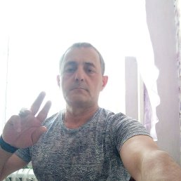  , 56 , 