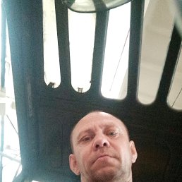 , 44, 