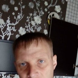 �������, �������, 46 ���