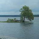 ���� �������, �����, 41 ��� - ��������� 13 ������� 2024