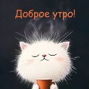 ���� ������, ����������, 46 ��� - ��������� 26 ������� 2024