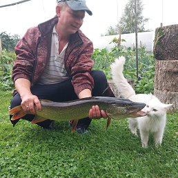 ���� ������, ������ ��������, 50 ��� - ��������� 1 ������� 2026