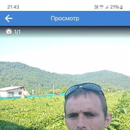 ����, 33 ����, ���������