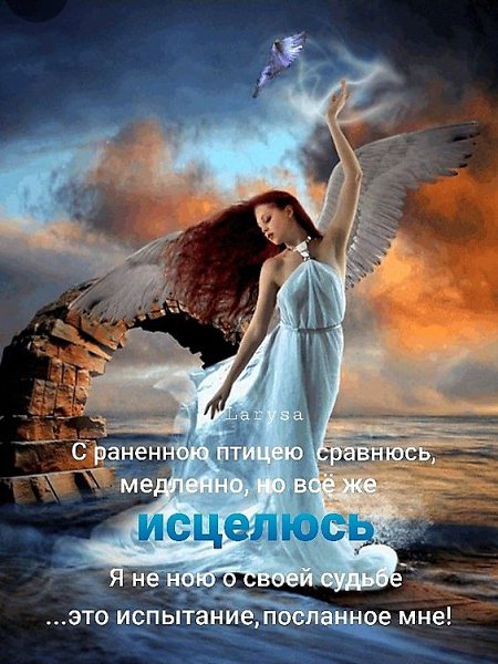 ₪╬═►  ||  ||  ◄═╬₪ - 25  2023  12:25