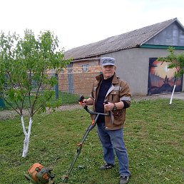 �������, 57 ���, ���������