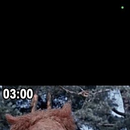  , , 37  -  12  2025