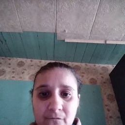 ����, 20 ���, ������