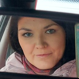 ����, �����-���������, 41 ���