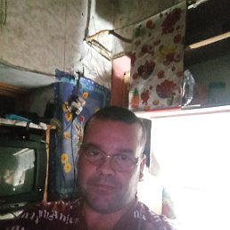 , 41, 
