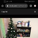 ���� �����, ���������, 41 ��� - ��������� 10 ������ 2024 � ������ ���� ����������