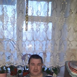 ��������, 44 ����, ������