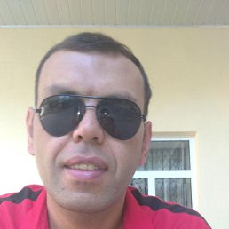 , 37, 