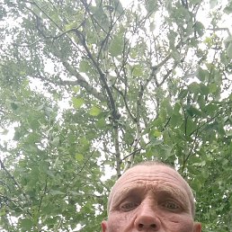 , 41, 