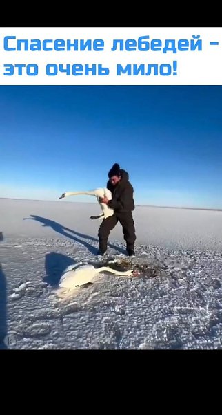 ������ ���: ������ ���������� ���� ���� �������, ��������� ���� �����, �� ������� �������. �� ����� ...