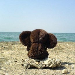 ���� ������, ������, 48 ��� - ��������� 15 ����� 2026