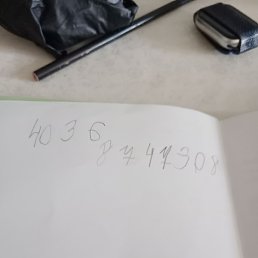 Cvcncbvx, ������, 31 ���