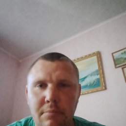 , 29, 
