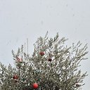 ���� ��������, �������� - ��������� 31 ������� 2025 � ������ ���� ����������
