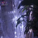���� ����, ���������, 45 ��� - ��������� 18 ������ 2026 � ������ ���� ����������