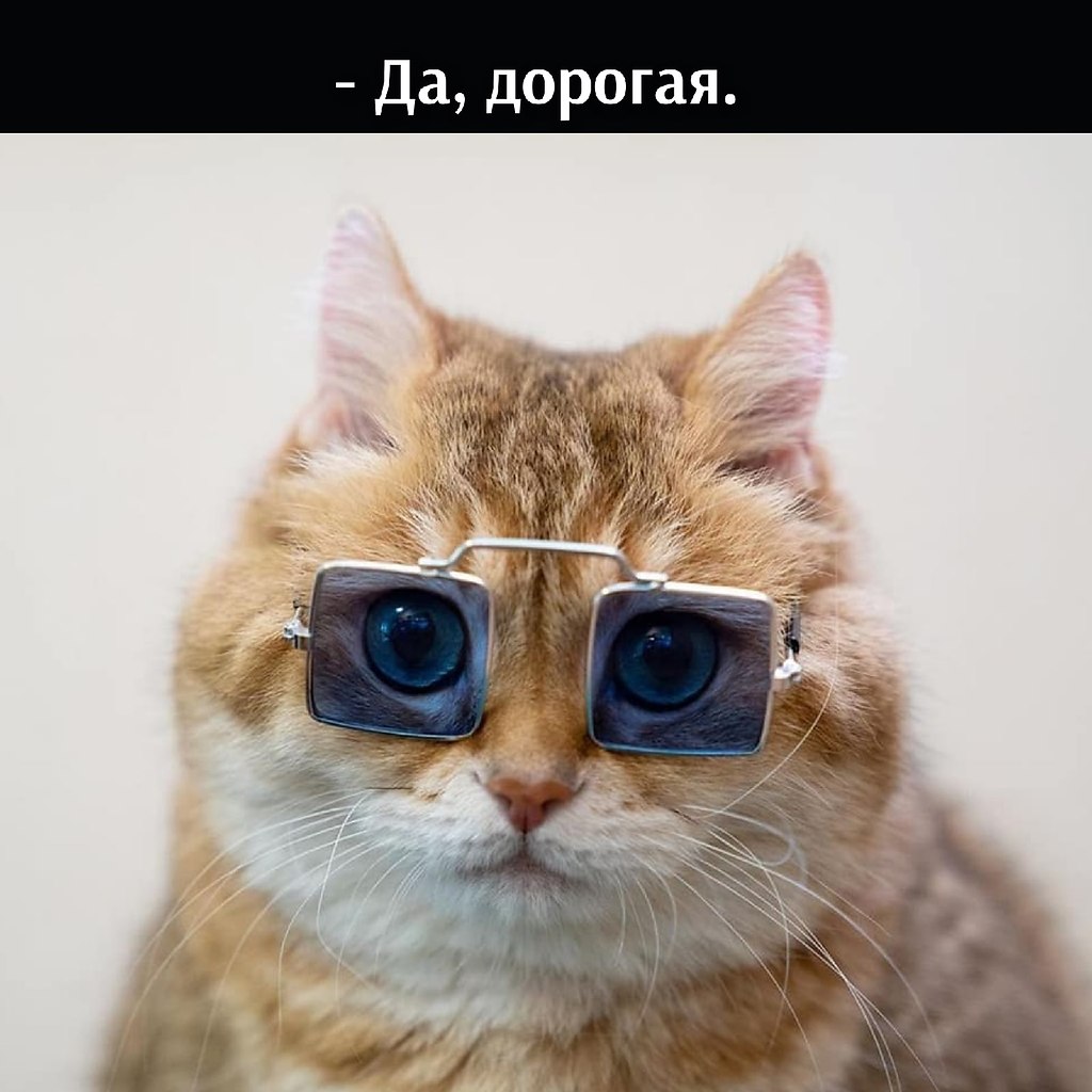 ��� ���� � ����� �� �� - 18 ������� 2025 � 11:03 - 4