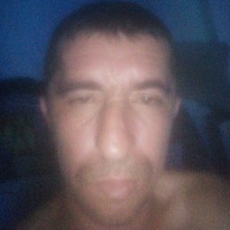 ������, ����-���������, 40 ���