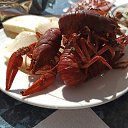 ���� �� ��������!!!!!!!!!!!!!!!!!!!!!!!!!, ������ - ��������� 12 ����� 2025 � ������ ������ ��������