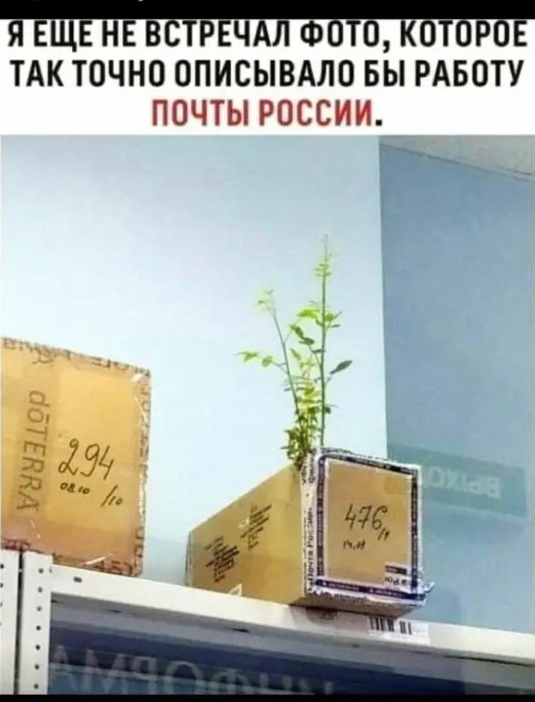  - 17  2024  20:34