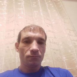 , 41 , 