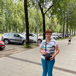 �����, ���������, 54 ����