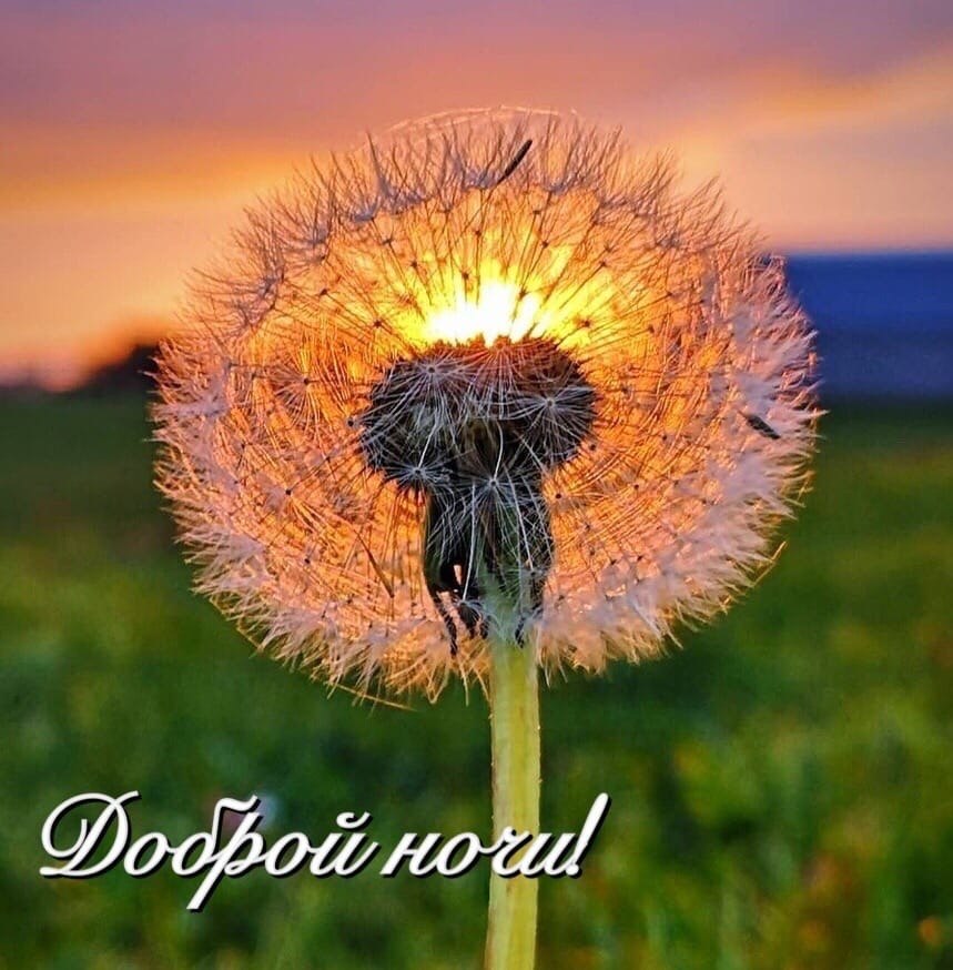   ,    . - 22  2025  11:28 - 6
