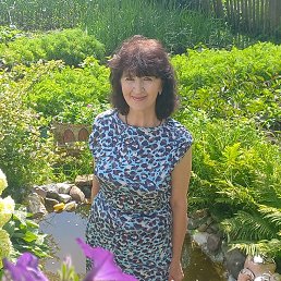  ., , 65  -  30  2025