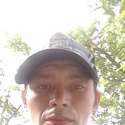 , , 31 