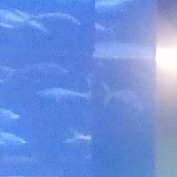 ��������, �����-���������, 47 ���