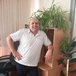  , 44, 
