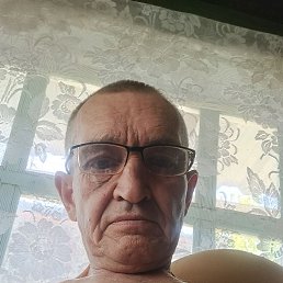 , 61, 