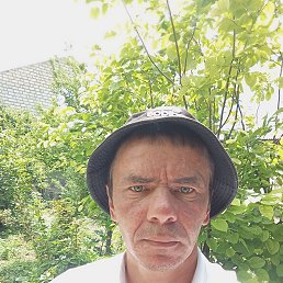 , 35, 