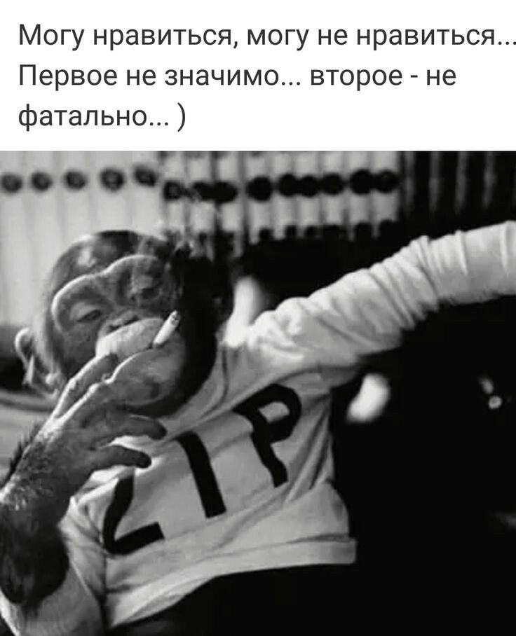  - 2  2024  16:33