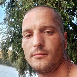 ����, ����, 37 ���