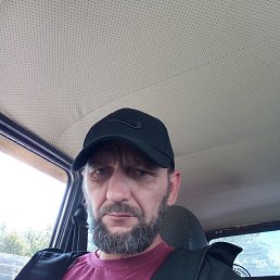 ������� ���������, 43 ����, ���������