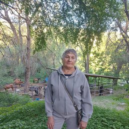 , 59, 