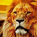 ���� *��������*, ������-��-���� - ��������� 7 ������ 2026 � ������ ���� ����������