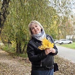 �����, ������ ��������, 47 ���