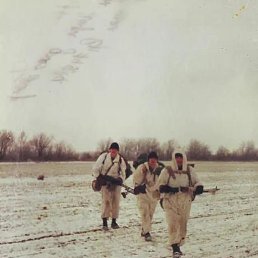 ����, ����, 41 ���