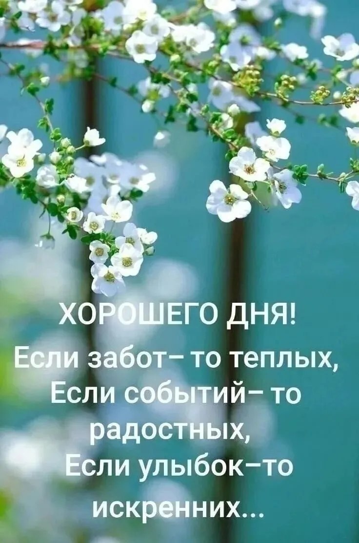 ***Victoria Viktorovna*** - 24  2025  05:16 - 2