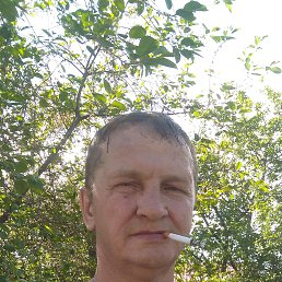 , 56,  