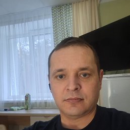 �����, 41 ���, ������