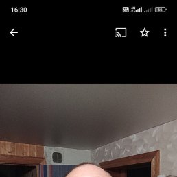 , 41, 
