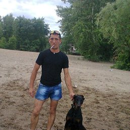 , 45, 