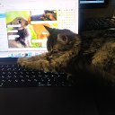 ���� Jourando, ������ - ��������� 18 ������� 2025 � ������ ������ ��������